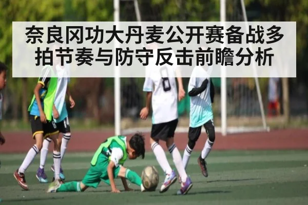 奈良冈功大丹麦公开赛备战多拍节奏与防守反击前瞻分析