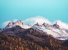 九游体育app下在：一键开启你的专属体育世界